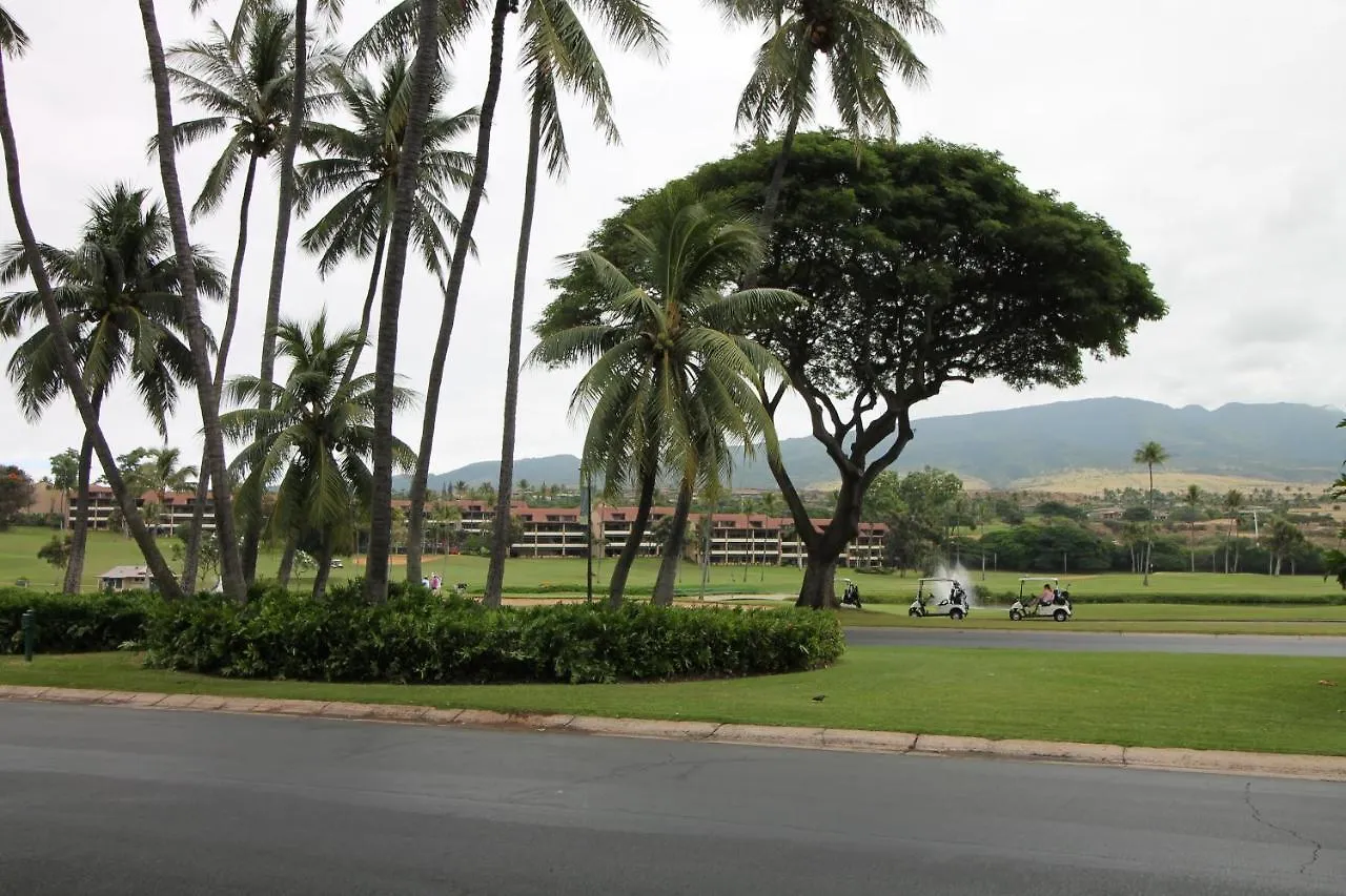 Vakantiehuis Kaanapali Royal J303 Villa Lahaina Verenigde Staten
